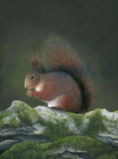 Acrylic on canvas, 450x360mm, £255