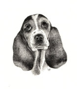 Ink on paper, 243x192mm, £125