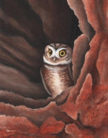 Acylic on paper, 243x192mm, £125