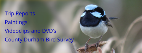 Trip Reports Paintings Videoclips and DVD’s County Durham Bird Survey
