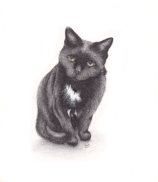 Ink on paper, 243x192mm, Not for sale