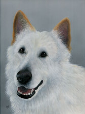 Acrylic on paper, Not for sale