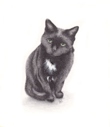 Ink on paper, 243x192mm, Not for sale