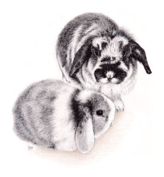 Ink on paper, 243x192mm, Not for sale