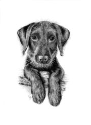 Ink on paper, Not for sale