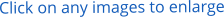Click on any images to enlarge