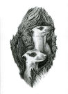 Ink on paper, 330x234mm, £175
