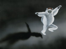 Acrylic on canvas, 460x360mm, £255