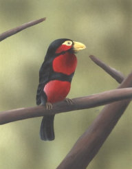 Acylic on paper, 243x192mm, £125