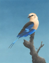 Acylic on paper, 243x192mm, £125