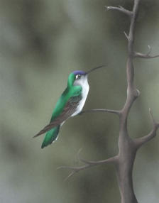 Acrylic on paper, 243x192mm, £125