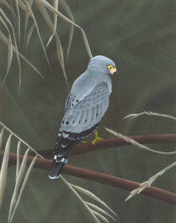 Acylic on paper, 243x192mm, £125