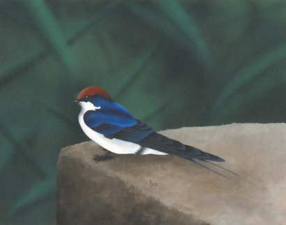 Acylic on paper, 243x192mm, £125