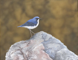 Acylic on canvas, 540x360mm, £255