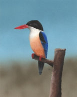 Acylic on paper, 243x192mm, £125