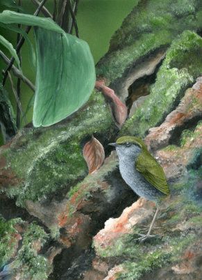 Acylic on paper, Not for sale