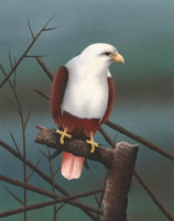 Acylic on paper, Not for sale