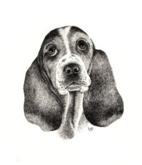 Ink on paper, 243x192mm, £125