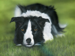 Acrylic on canvas, 400x300mm, £225