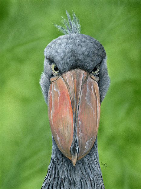 Acylic on paper, Not for sale