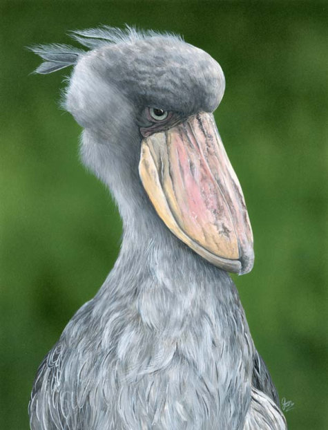 Acylic on paper, Not for sale