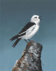 Acrylic on paper, Not for sale